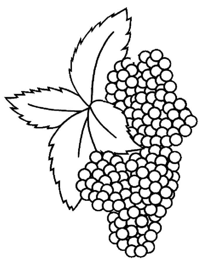 Dibujo de Bueno Mora para Colorear