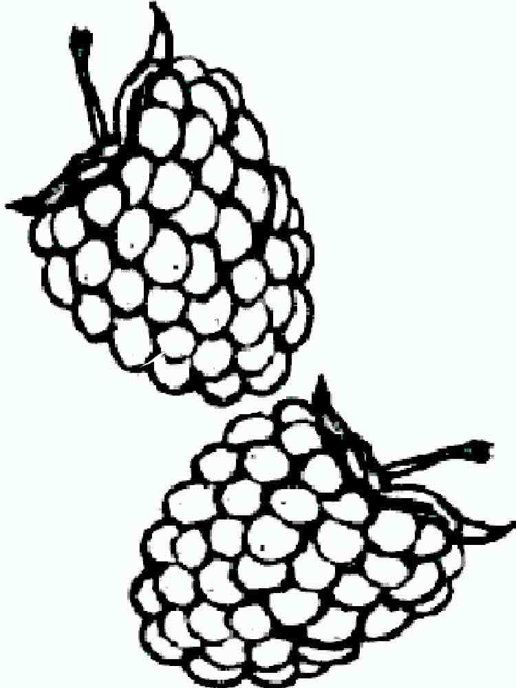 Dibujo de Blackberry para Colorear