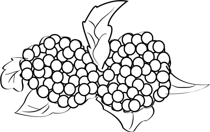 Dibujo de Dos Moras para Colorear
