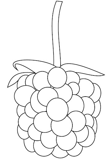 Dibujo de Gran Mora para Colorear