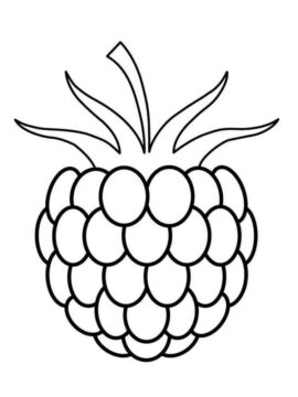 Dibujo de Mora Imprimible para Colorear