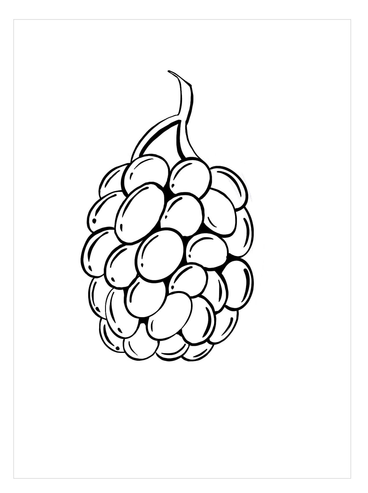 Dibujo de Mora Perfecto para Colorear