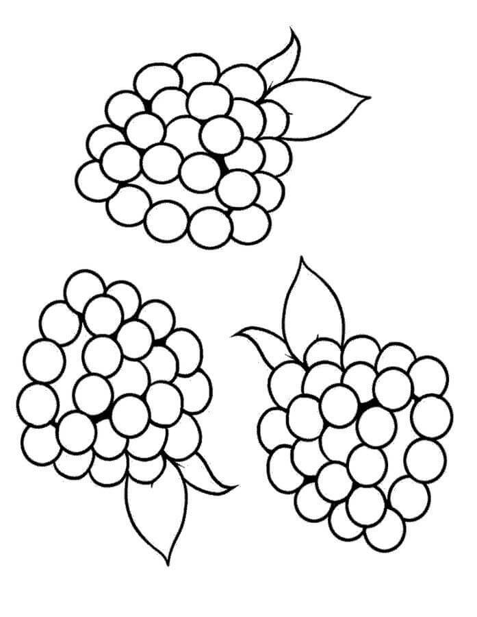 Dibujo de Normal Tres Moras para Colorear