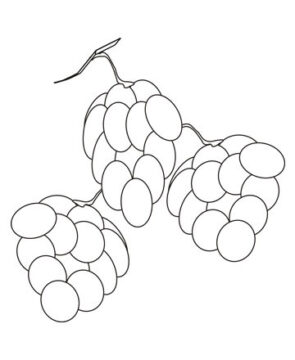 Dibujo de Tres Moras Impresionantes para Colorear