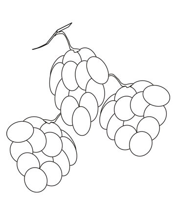 Dibujo de Tres Moras Impresionantes para Colorear