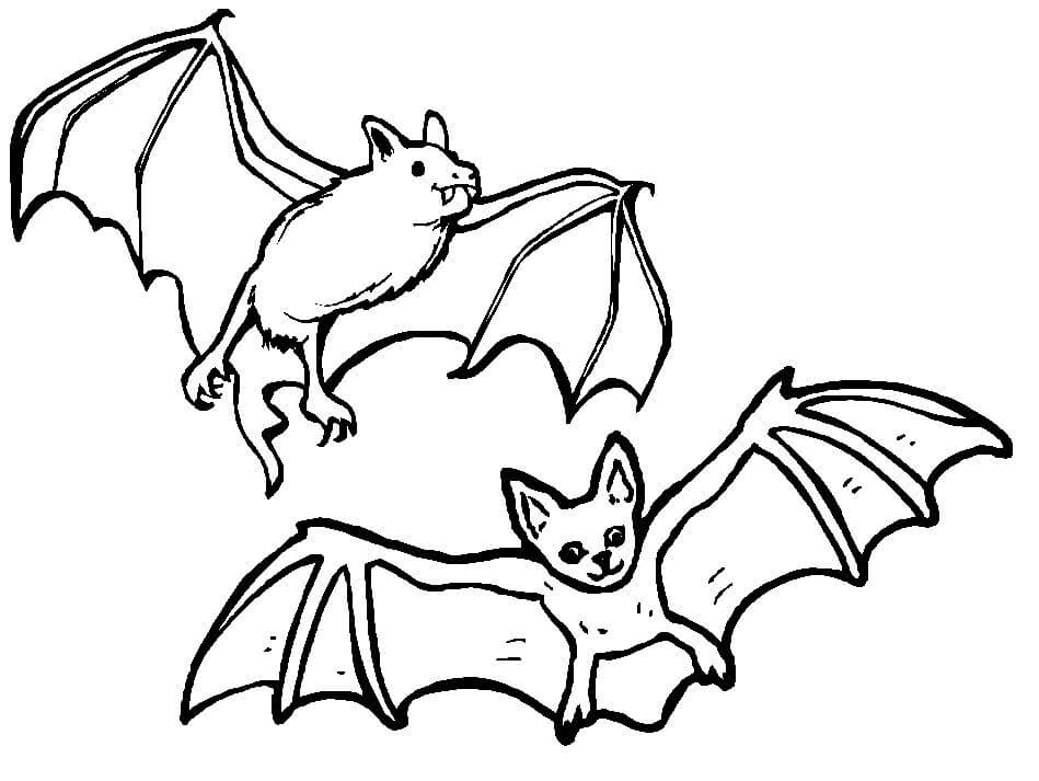 Dibujo de Dos Murcielagos para Colorear
