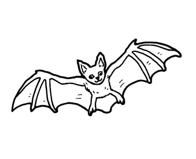 Dibujo de Murcielago Simple para Colorear