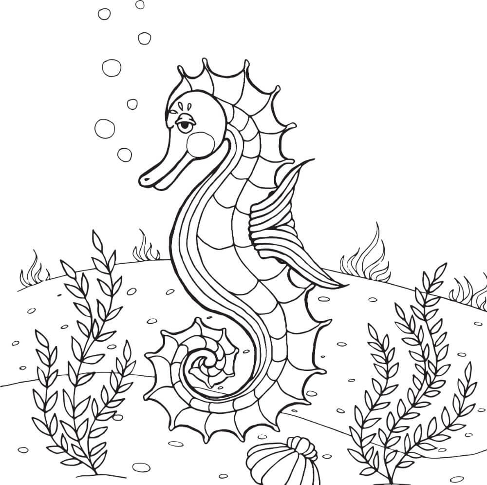Dibujo de Caballito de Mar Nadando para Colorear