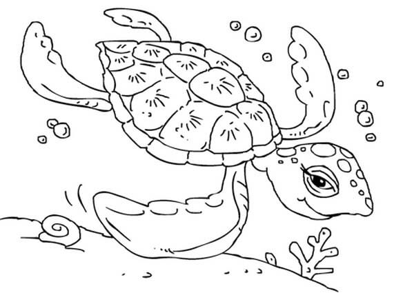 Dibujo de Tortuga Marina Nadando 1 para Colorear