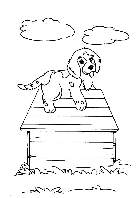 Dibujo de Perro con Nubes para Colorear