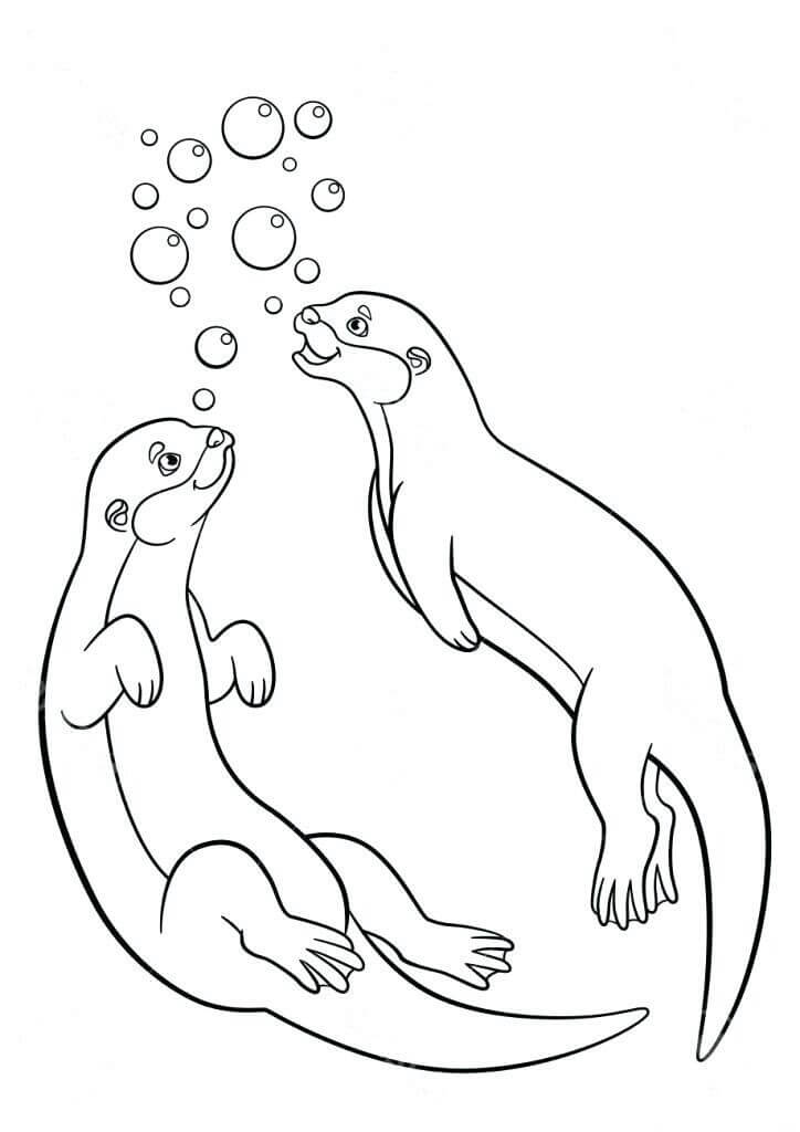 Dibujo de Dos Nutrias Nadando para Colorear