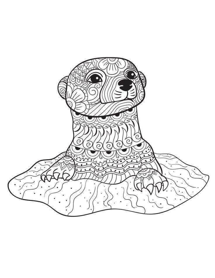 Dibujo de Mandala de Nutria de Cara para Colorear