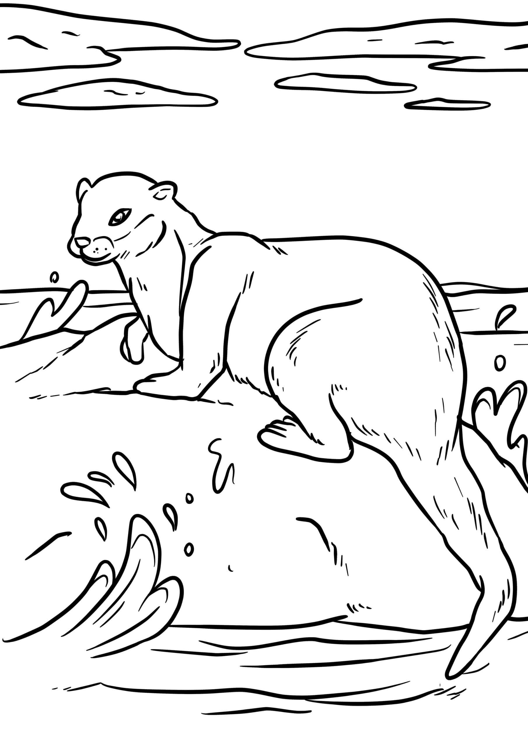Dibujo de Nutria Impresionante para Colorear