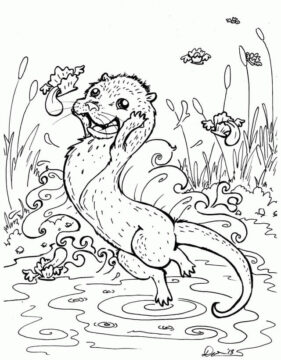 Dibujo de Nutria Linda y Animal Marino para Colorear