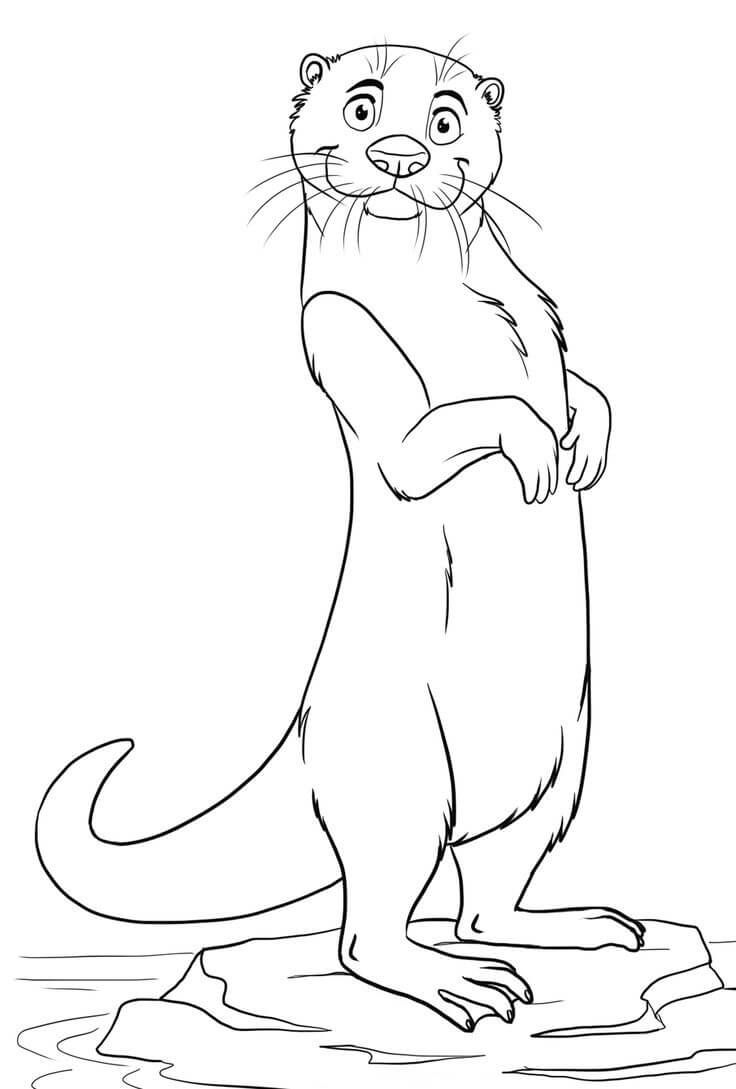 Dibujo de Nutria de Pie para Colorear