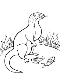 Dibujo de Nutria y Dos Peces para Colorear