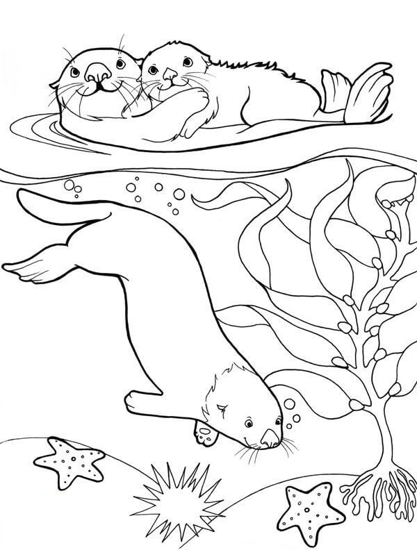 Dibujo de Tres Nutrias en el Mar para Colorear