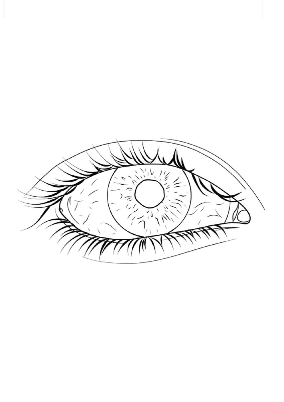 Dibujo de Ojo Normal para Colorear