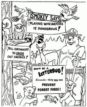 Dibujo de Oso Ahumado y Cartel para Colorear