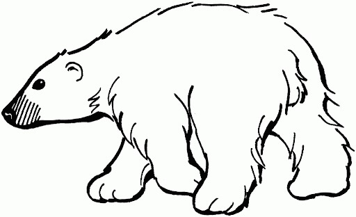 Dibujo de Oso de Hielo Normal para Colorear