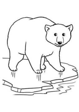 Dibujo de Oso de Hielo Sonriendo para Colorear