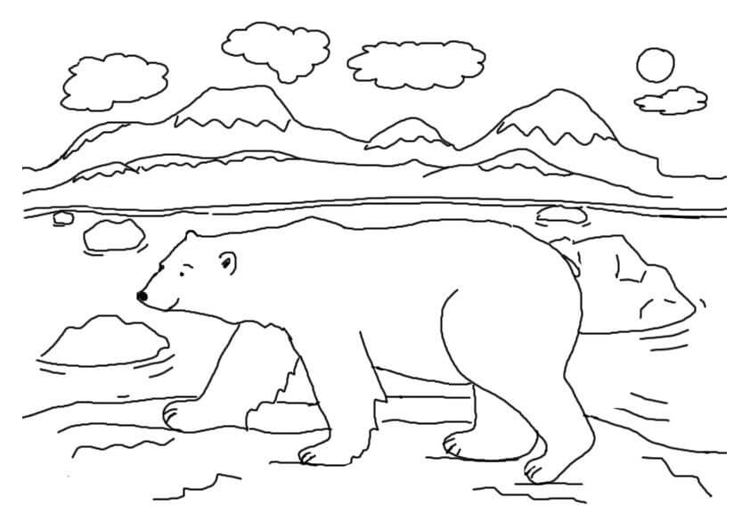 Dibujo de Oso de Hielo de Dibujos Animados para Colorear