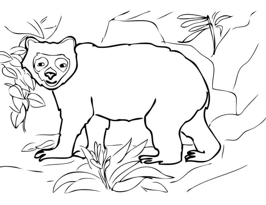 Dibujo de Cara Oso Divertido para Colorear