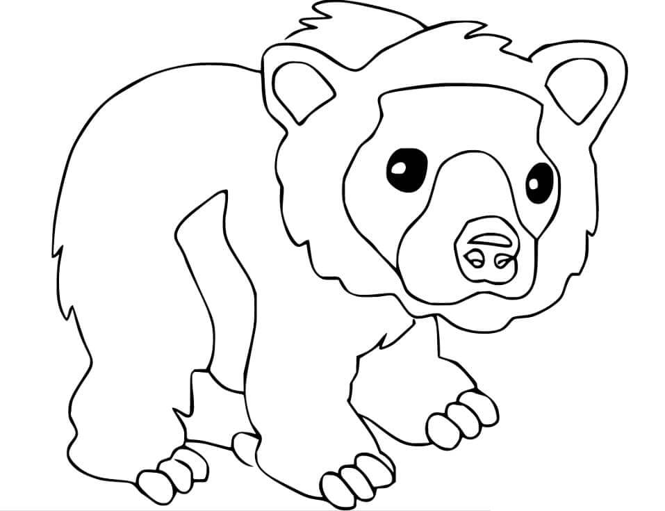 Dibujo de Lindo Oso de Anteojos para Colorear