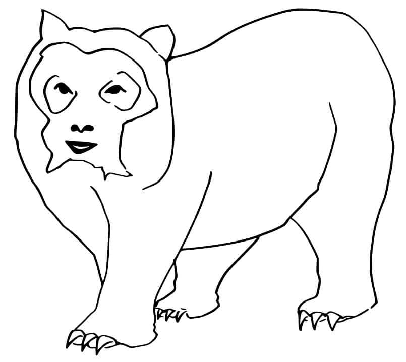 Dibujo de Oso Caminando para Colorear