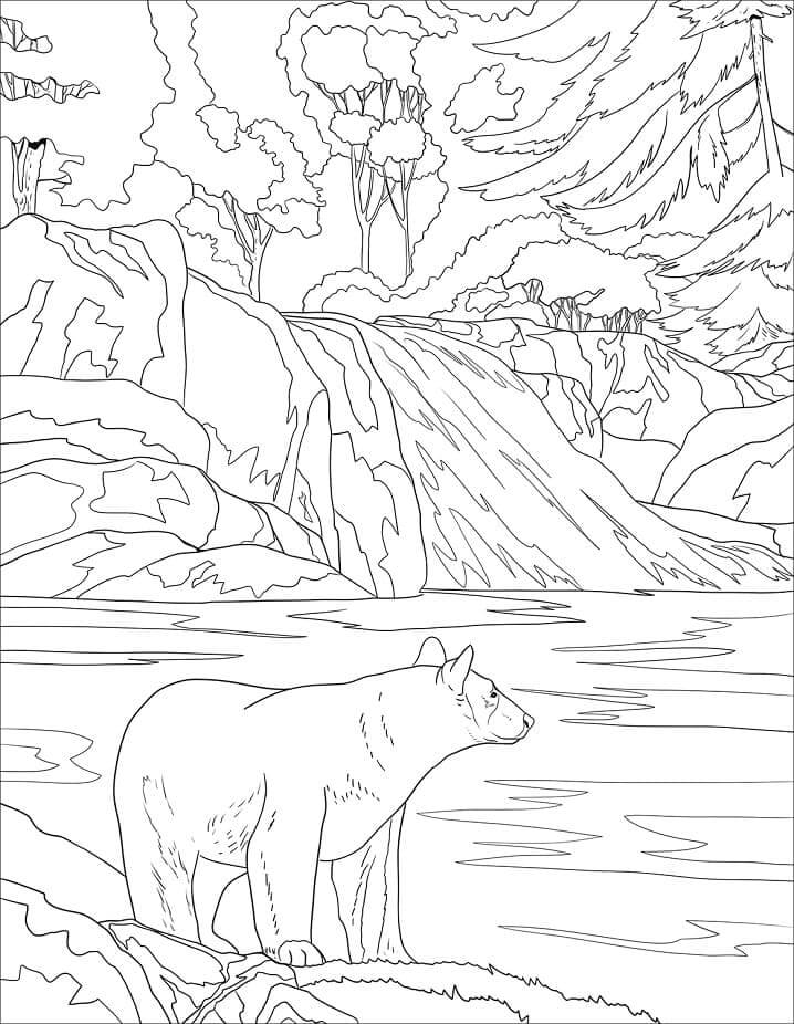 Dibujo de Oso Negro Salvaje para Colorear