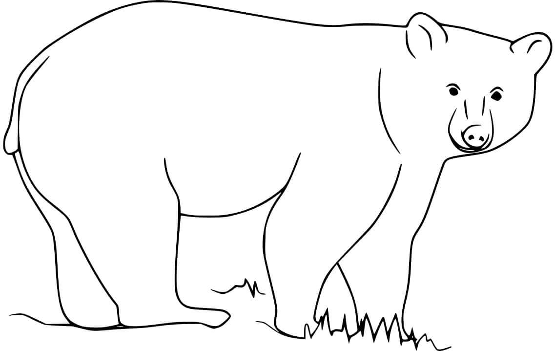 Dibujo de Oso Negro Sobre Hierba para Colorear