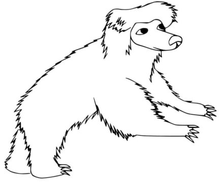 Dibujo de Oso Perezoso para Colorear