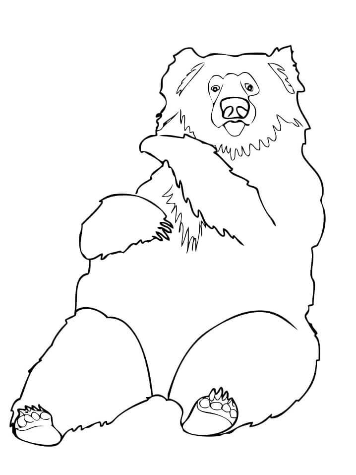 Dibujo de Oso Perezoso Acostado para Colorear