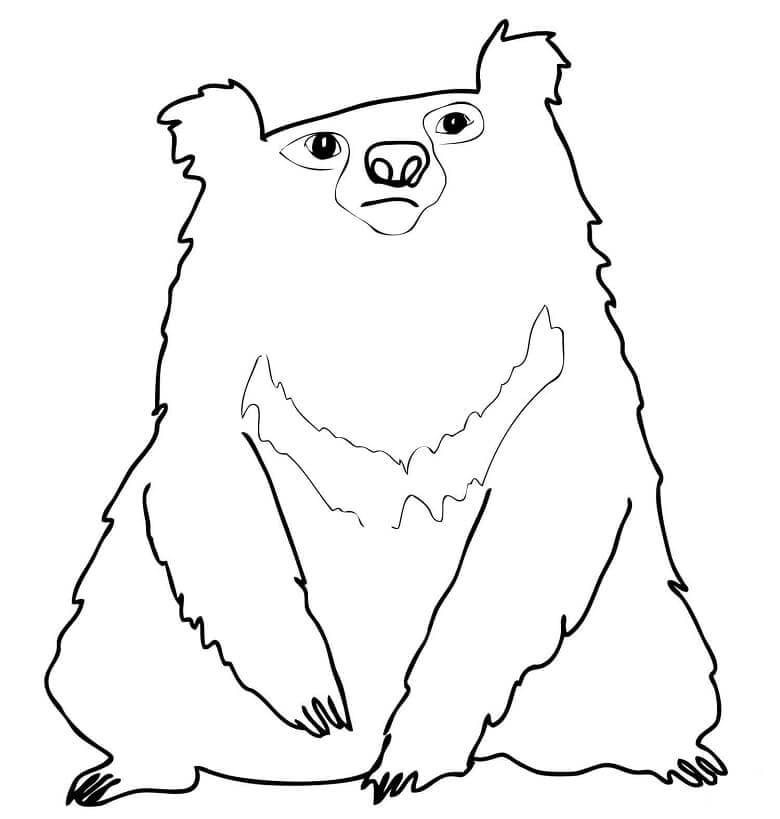 Dibujo de Oso Perezoso Indio Sentado para Colorear