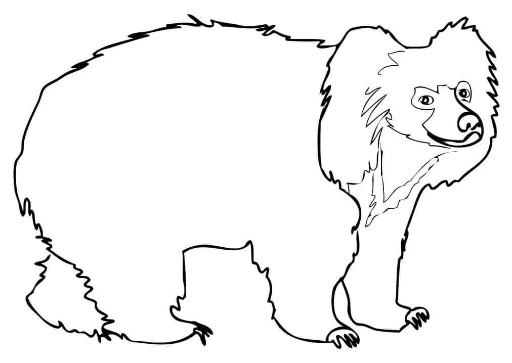 Dibujo de Oso Perezoso Sonriente para Colorear