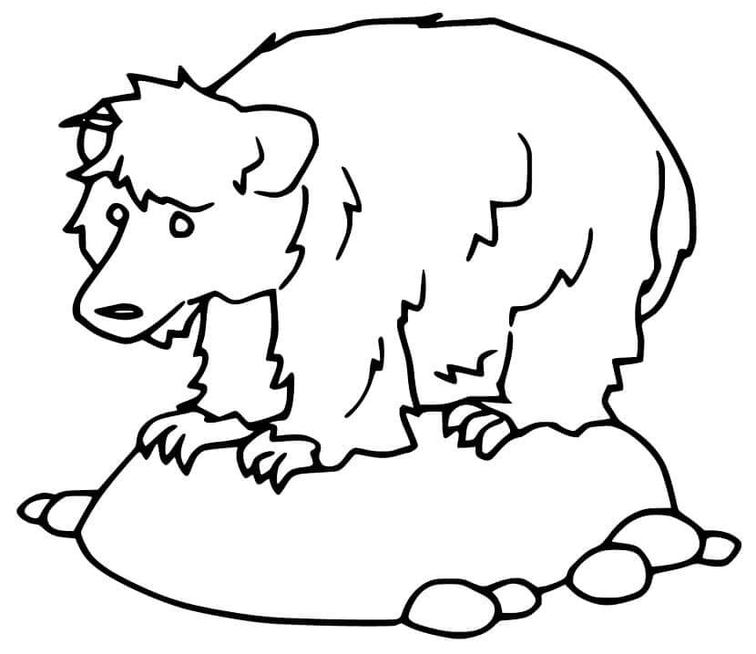 Dibujo de Oso Perezoso de Pie Sobre una Piedra para Colorear
