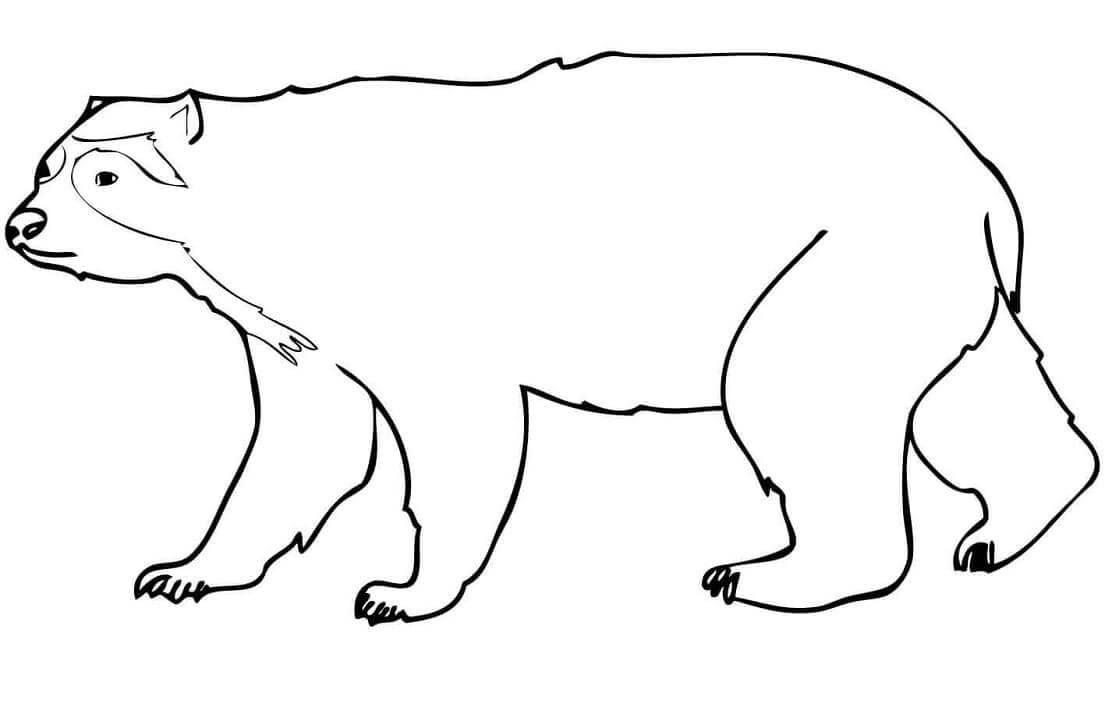 Dibujo de Oso de Anteojos Normal para Colorear