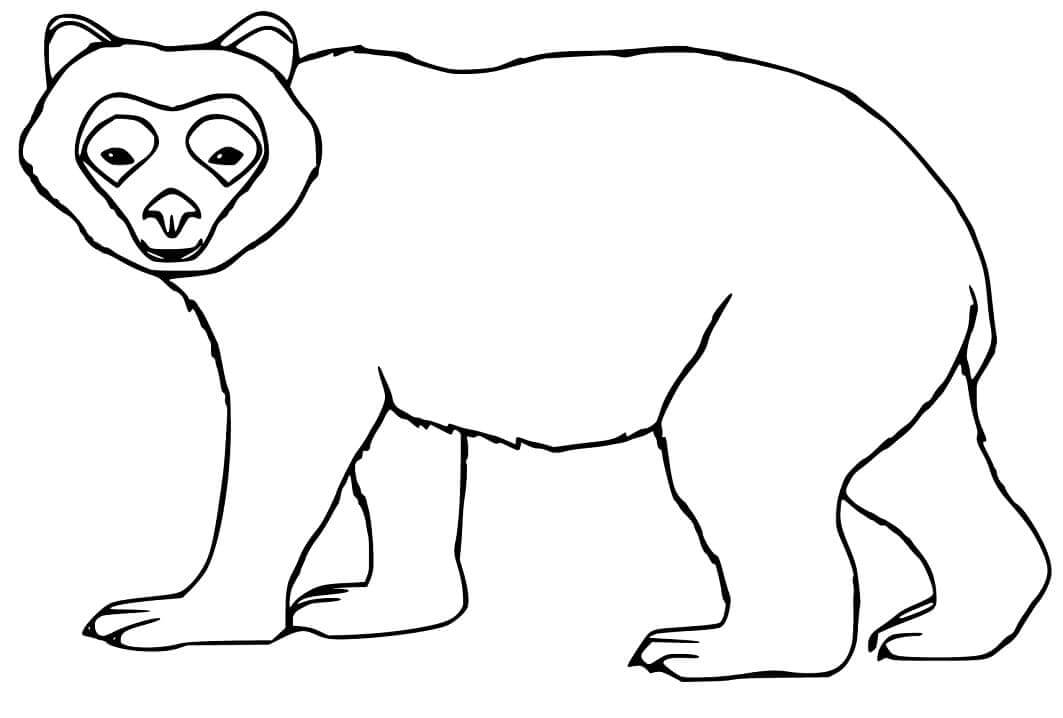 Dibujo de Oso de Anteojos Simple para Colorear