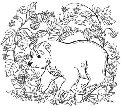 Dibujo de Oso y Hoja para Colorear