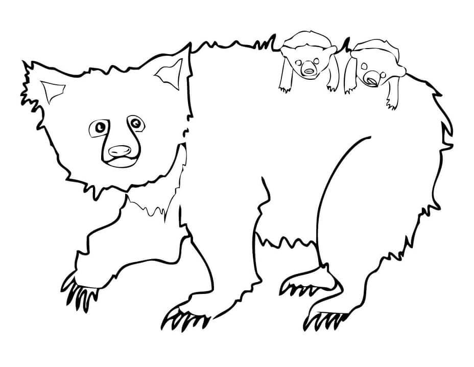 Dibujo de Osos Perezosos Familiares para Colorear