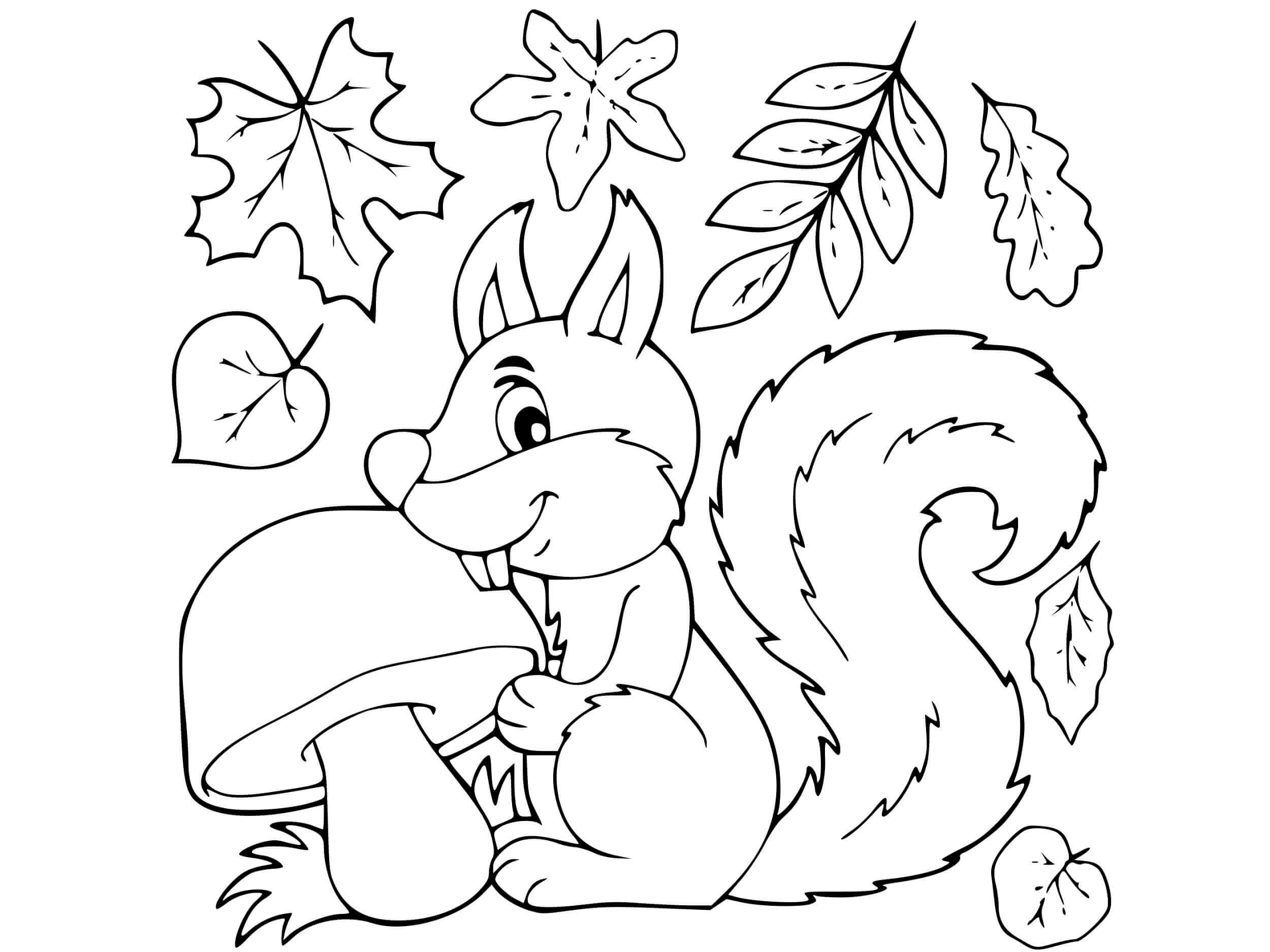 Dibujo de Ardilla Comiendo Hongos con Hojas en otoño para Colorear