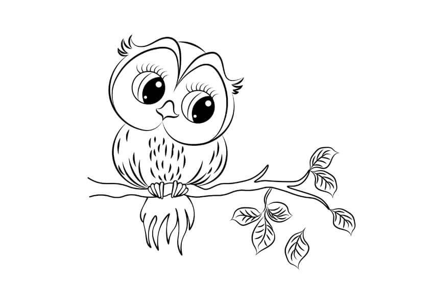 Dibujo de Búho en otoño para Colorear