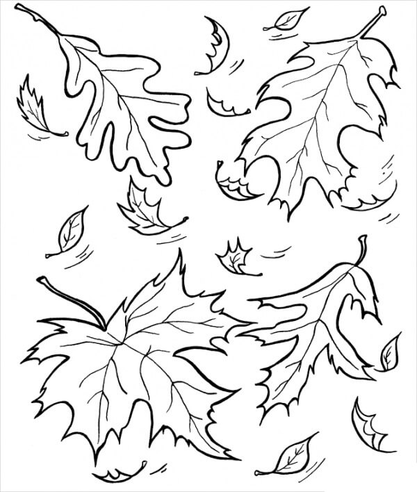 Dibujo de Hojas en otoño para Colorear