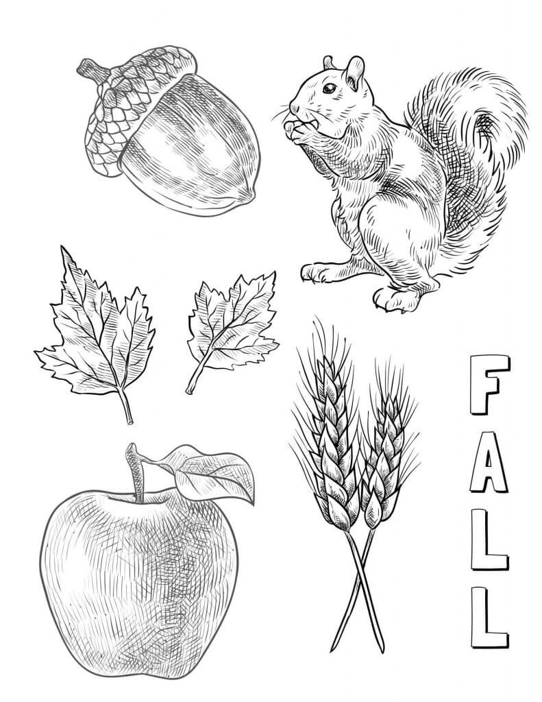 Dibujo de Otoño Libre para Colorear