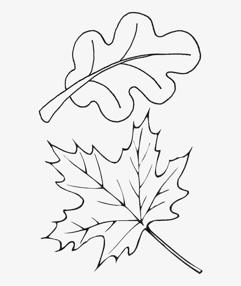 Dibujo de Otoño de Dos Hojas para Colorear
