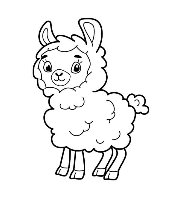 Dibujo de Buenas Ovejas para Colorear