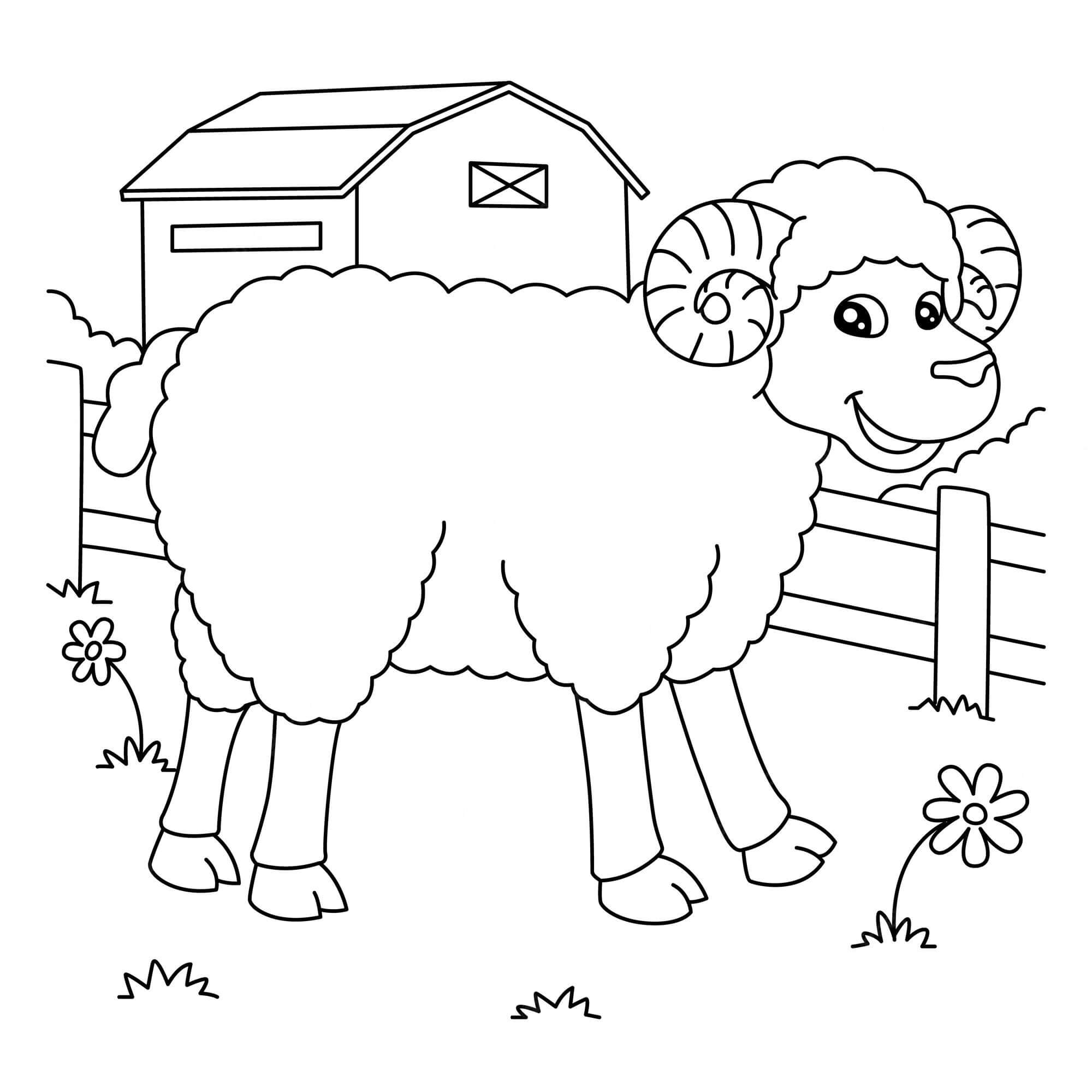 Dibujo de Divertido Oveja para Colorear