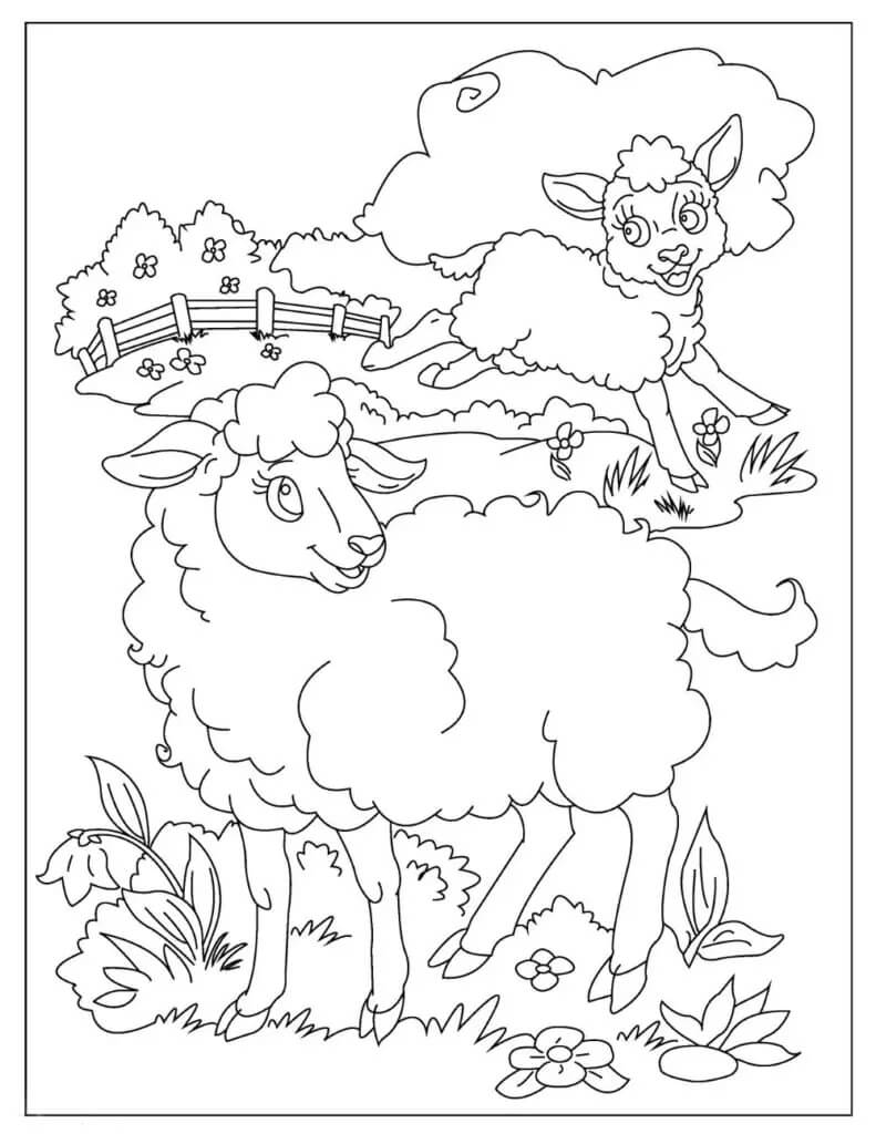 Dibujo de Dos Ovejas Divertidas para Colorear