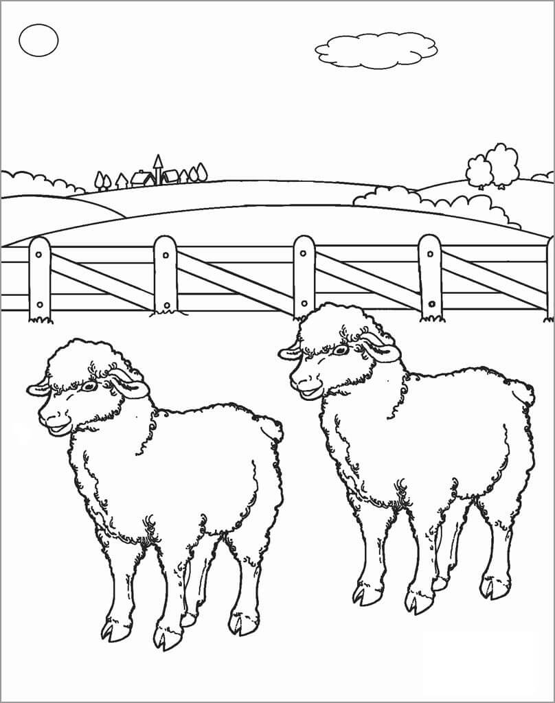 Dibujo de Dos Ovejas en Granja para Colorear