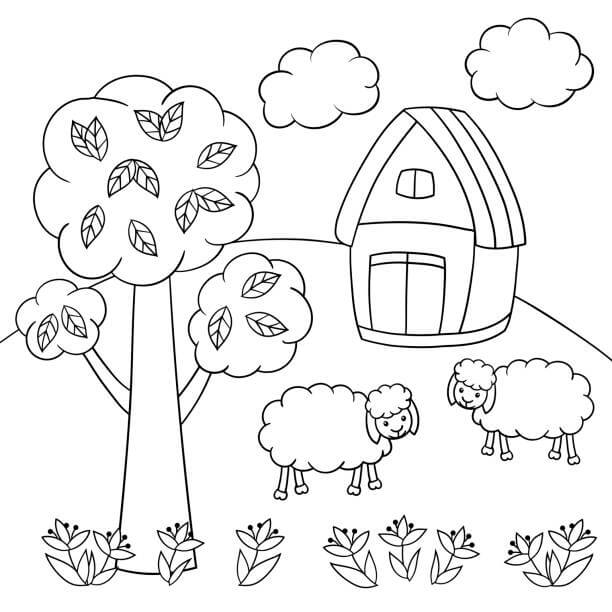 Dibujo de Dos Ovejas para Colorear
